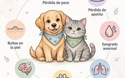 Éstos son los signos que pueden ayudarte a detectara tiempo cancer en perritos y gatos